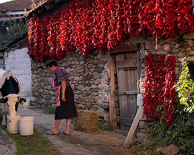 <i>Ajvar</i> of North Macedonia